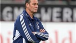 00h30 ngày 16/12, Schalke - Freiburg: Lưỡi hái kề cổ Stevens